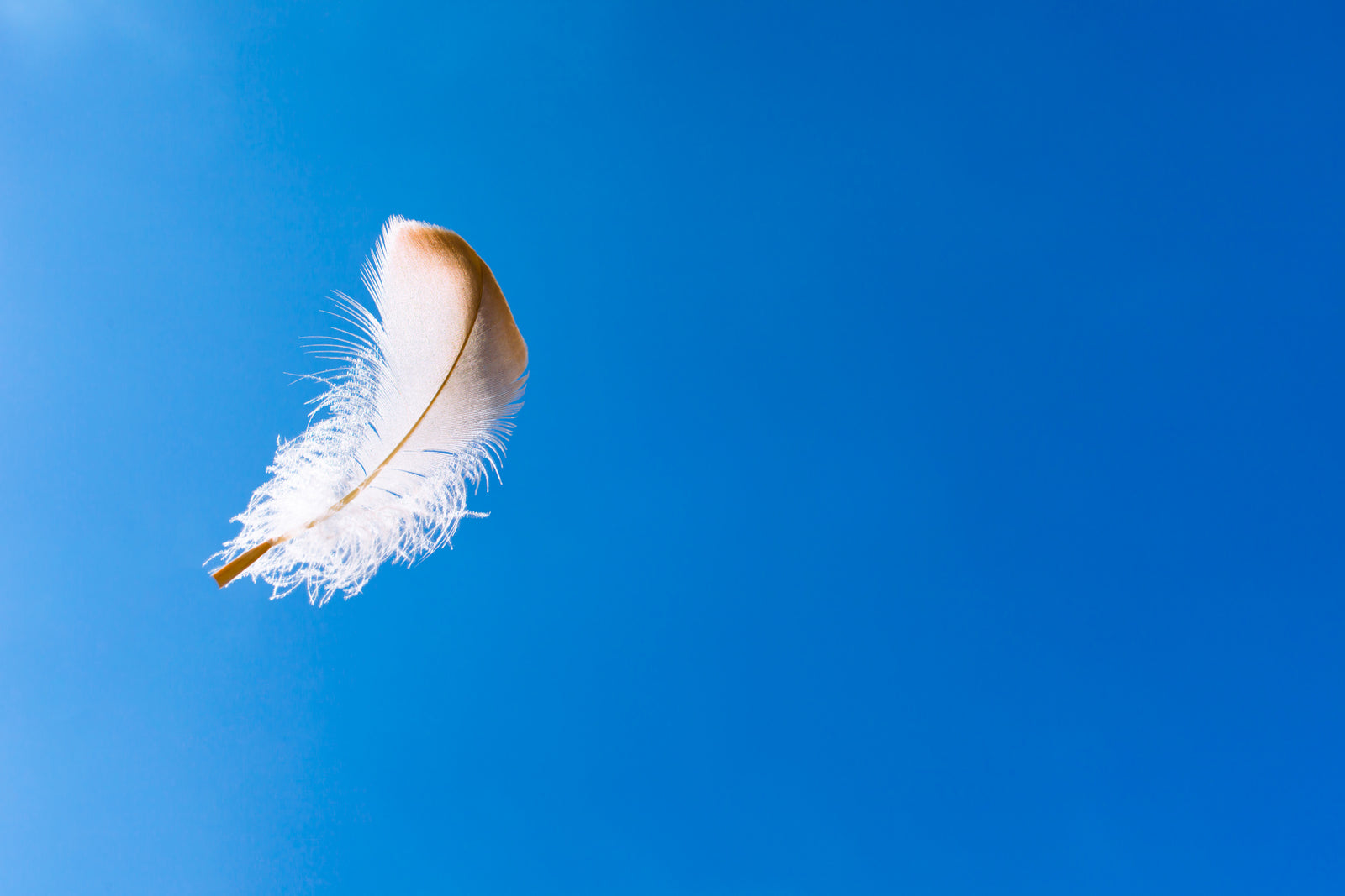 How to Recognize the Influence of Spirit in Your Daily Life: Guest Post by Hollister Rand