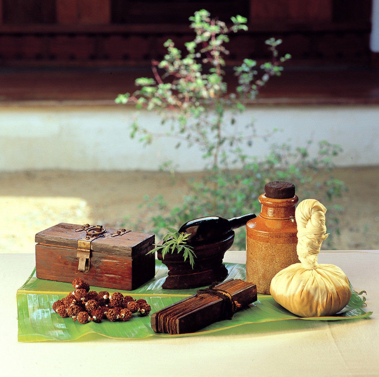 Putting Ayurveda to Work