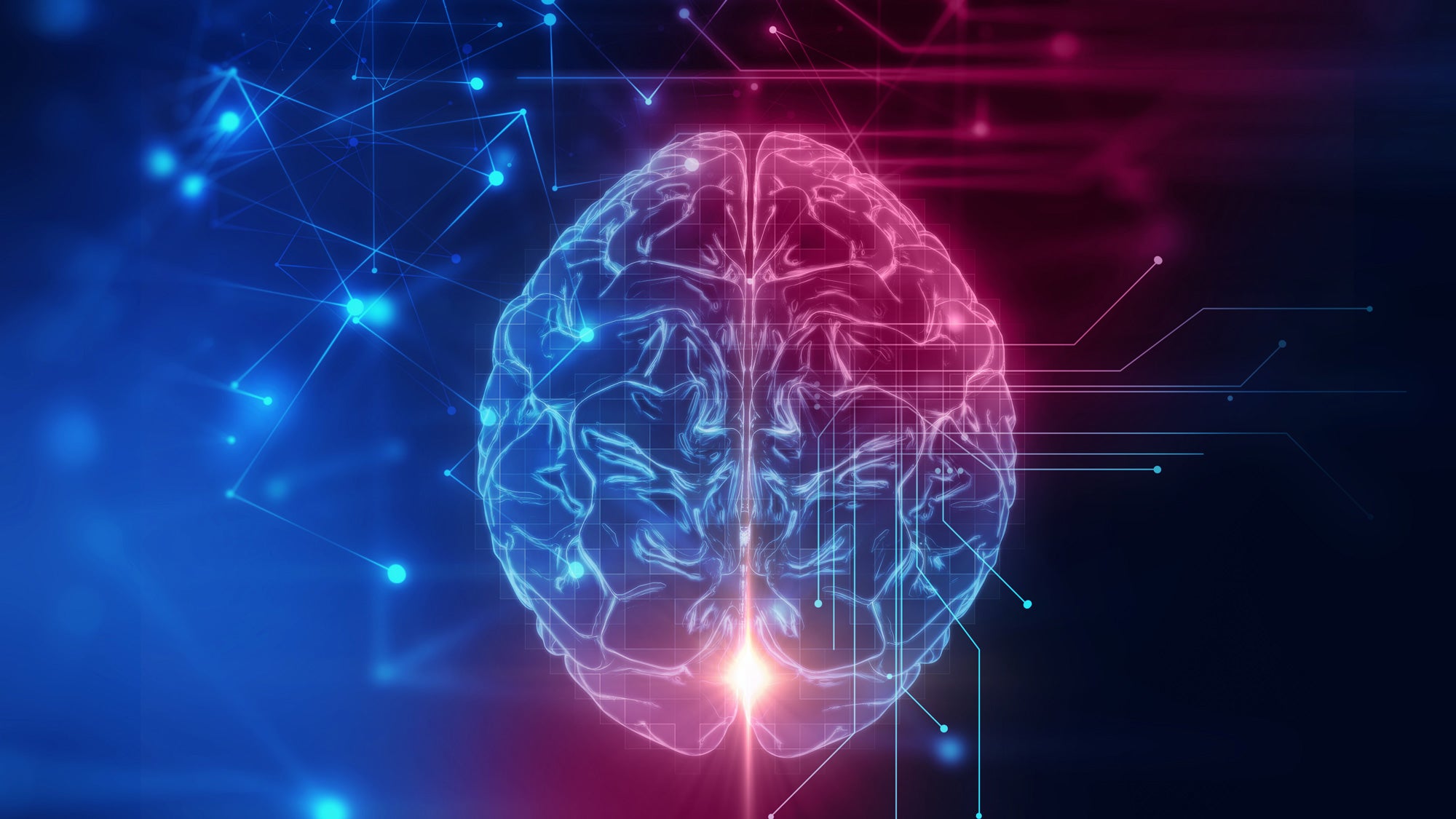 Brain Power Poto Brain Power Wallpaper