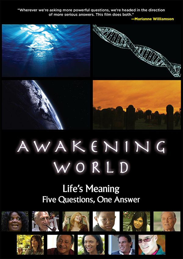 Awakening World: Life&#39;s Meaning: Five Questions, One Answer