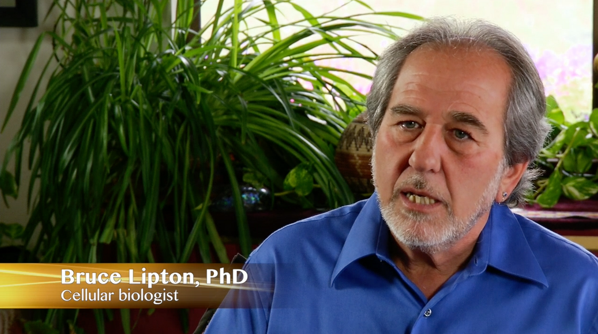 The Healing Field: Exploring Energy &amp; Consciousness Special Expanded Edition DVD