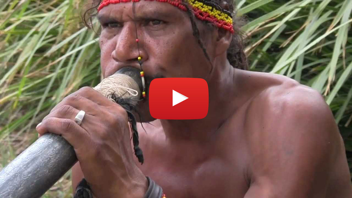 &lt;iframe width=&quot;560&quot; height=&quot;315&quot; src=&quot;https://www.youtube.com/embed/n0lDSK1CeM0?rel=0&quot; frameborder=&quot;0&quot; allowfullscreen&gt;&lt;/iframe&gt;